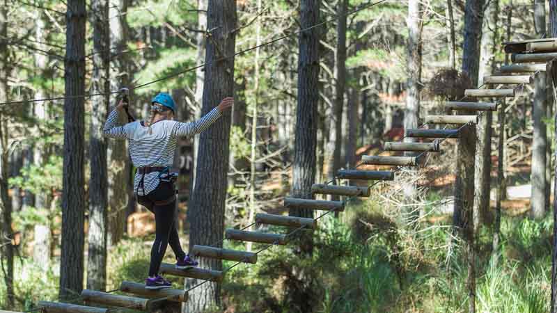 Tree Adventure's 'High Flyer' option is perfect for confident first timers right through to hardened adrenaline junkies looking for a thrilling adventure high in the tree canopy.